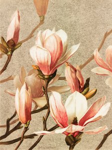  af Ellen Thayer Fisher