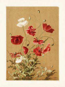  af Ellen Thayer Fisher
