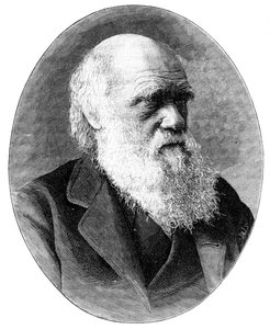 Charles Darwin, engelsk naturforsker fra det 19. århundrede, 1900.