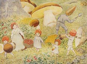 Tomtebobørnene Mushroom Kids