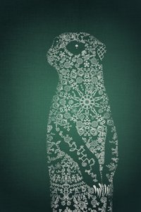 Indviklet surikat-motiv af Ema Paraschiv