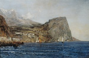 Kystlandskab i Dalmatien af Emil Jakob Schindler