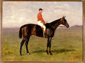hest og rytter