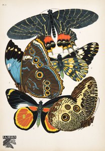 Tallerken 2, fra Butterflies, pub. 1925 (stenciltryk)