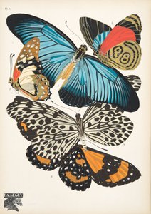 Tallerken 11, fra Butterflies, pub. 1925 (stenciltryk)