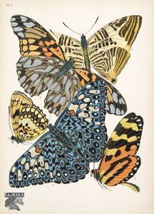 Tallerken 3, fra Butterflies, pub. 1925 (stenciltryk) af Émile Allain Séguy