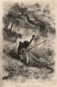 En leopard springer på en mand og bider ham grusomt i ryggen, i nærheden af Bambare (Congo), graverer efter en tegning af Emile Bayard, der illustrerer David Livingstones sidste dagbog (1813-1873), i 1866-1873, udgivet i " ”Le tour du monde”” 1875, red af Emile Antoine Bayard