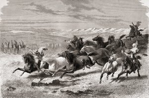 Argentinske gauchos samler vilde heste sammen, illustration fra "The World in the Hands", graveret af Charles Laplante (død 1903), udgivet i 1878 af Emile Antoine Bayard