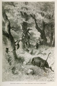 Deroute af ekspeditionen foran angrebet af en bøffel, tegning af Emile Bayard, for at illustrere historien: På tværs af Afrika, fra Zanzibar (Tanzania) til Benguela (Angola), fra 1872 til 1876, af løjtnant V.H.Cameron. Indgravering i Le tour du monde af Emile Antoine Bayard