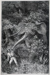 Livingstone overrasket af en elefant i "Le Tour du Monde" af Emile Antoine Bayard