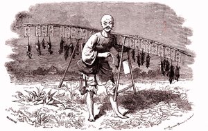 Rottemorder i Kina. 1874 (gravering) af Emile Antoine Bayard