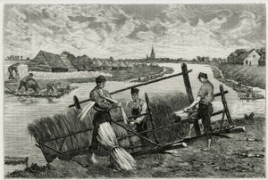 Rusten af hør (maceration for at lette adskillelsen af barken fra stænglen) i Lys (floden nord for Frankrig og Belgien). Gravering af Emile Claus, for at illustrere historien "" La Belgique"", af Camille Lemonnier (1844) -1913), forfatter og kunstkritiker. af Emile Claus