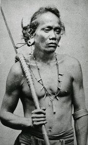 Vietnamesisk eller cambodjansk stammehøvding, ca.1870