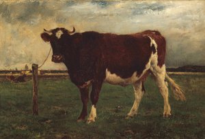 Studie af en ko, 1870?90