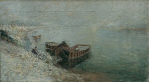 Fiskerbåde på Donau-bredden