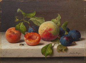 frugtstilleben