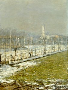 Landskab. Vintersol