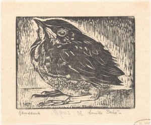fugleunge