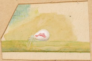 Porcelæn-hvid edderkop af Emma Beach Thayer
