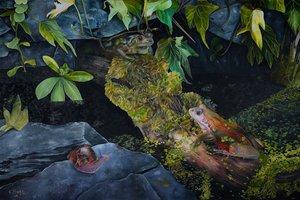 Pond Life, 2021 (olie på lærred) af Emma Pewsey