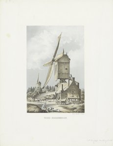 Vind - melmølle (titel på objekt)