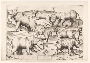 Ni dyr Dyr til antikke vægmalerier (serietitel) Speculum Romanae Magnificentiae (serietitel) af Enea Vico (attributed to)