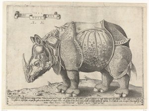 Neushoorn Rhinocerus (titel på objekt)