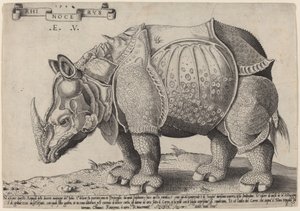 Næsehorn af Enea Vico after Albrecht Dürer