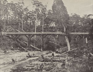 A Miners Claim, nær Daylesford, Victoria af English Photographer