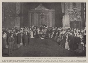 En præsentation til Mr Seddon af New Zealand Colonists i London af English Photographer