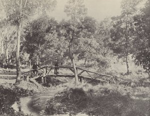 En rustik bro, Ballarat Water Reserve af English Photographer