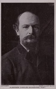 Algernon Charles Swinburne (1837-1909), engelsk digter og dramatiker af English Photographer