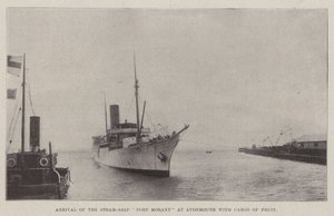 Ankomst af Steam-Ship Port Morant til Avonmouth med last af frugt af English Photographer