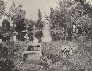 Ved laksedammene, New Norfolk af English Photographer