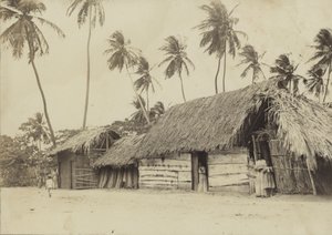 Bridgetown, Barbados, hytter af English Photographer