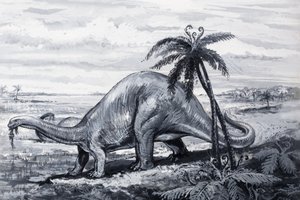 Brontosaurus af English Photographer