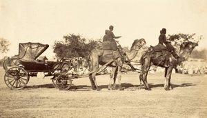 Kamelvogn, ca. 1860 (fotogravure) af English Photographer