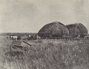 Canning Downs Station af English Photographer