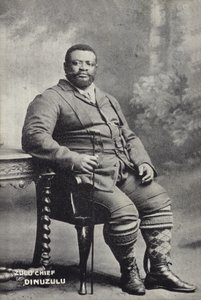 Cetshwayo kaMpande, konge af Zulu-nationen af English Photographer