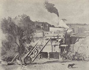 Crushing Stone, Kiama Quarries, New South Wales af English Photographer