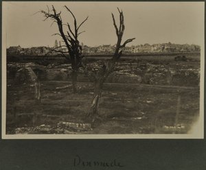Dixmude, ca. 1916-19 af English Photographer