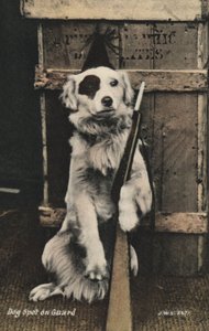 Hund holder en pistol (farvefoto) af English Photographer