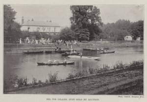 Eel Pie Island, netop solgt på auktion af English Photographer