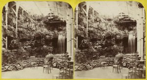 Fernery og vandfald ved Brighton Aquarium af English Photographer