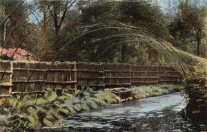 Fritton Decoy af English Photographer