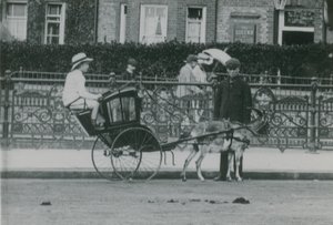 Gedetrukket transport af English Photographer