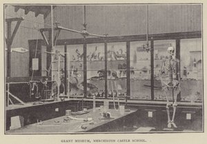 Grant Museum, Merchiston Castle School (gravering) af English Photographer