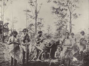 Gruppe af Queensland Aboriginals af English Photographer