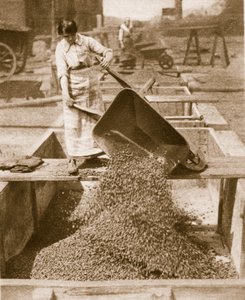 Hjælpekammerater hjemme for helte i udlandet, 1914-19 bw foto) af English Photographer