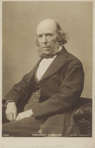 Herbert Spencer (1820-1903), engelsk filosof, politisk teoretiker, biolog og sociolog af English Photographer